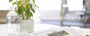Word红色绿色下划线错误怎么处理 教你精准隐藏提示