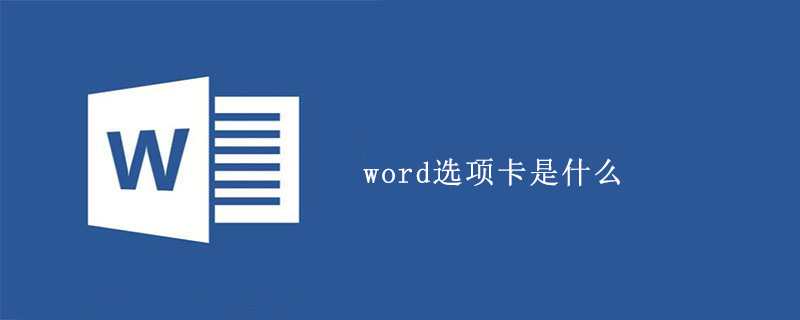 word选项卡是什么