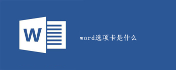Word功能区全面解析：各选项卡作用与位置轻松掌握