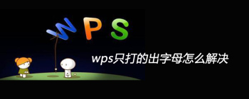 WPS文档输入法切换异常解决方案