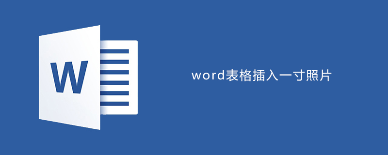 word表格中插入一寸照片