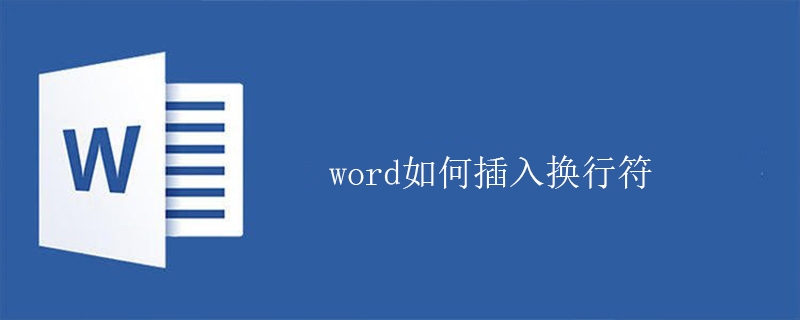 word如何插入换行符