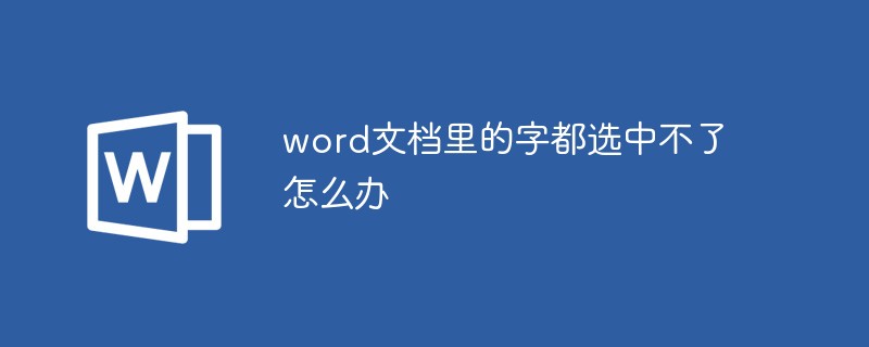 word文档里的字都选中不了怎么办