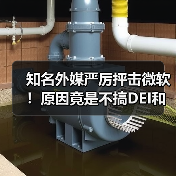 知名外媒严厉抨击微软!原因竟是不搞DEI和裁员(图3) 知名外媒严厉抨击微软!原因竟是不搞DEI和裁员(图3)