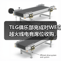 TLG俱乐部完成对WE穿越火线电竞席位收购,正式进军CF电竞(图3) TLG俱乐部完成对WE穿越火线电竞席位收购,正式进军CF电竞(图3)