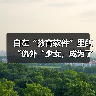 教育软件角色阿梅莉娅意外走红，仇外思潮引发文化争议