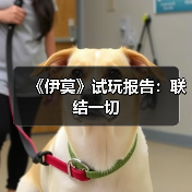 联结合体玩法创新，捉宠赛道新标杆