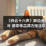《燕云十六声》联动遇冷 银泰等品牌方接连取消合作(图4) 《燕云十六声》联动遇冷 银泰等品牌方接连取消合作(图4)