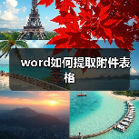 Word表格提取方法及保存操作步骤详解