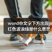 Word红色波浪线消除方法：取消拼写检查设置
