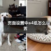 页面设置中a4纸怎么设置（图3）