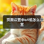 页面设置中a4纸怎么设置（图4）