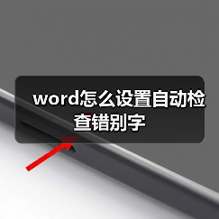 word怎么设置自动检查错别字（图3）