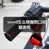 word怎么根据窗口调整表格（图3）