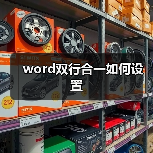 Word双行合一设置步骤详解及常见问题解决