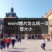 word图片怎么统一调整大小（图4）