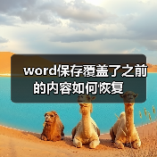Word文档恢复被覆盖方法：显示隐藏文件修复