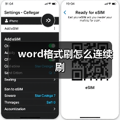 word格式刷怎么连续刷（图4）