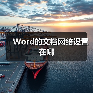 Word的文档网络设置在哪(图4) Word的文档网络设置在哪(图4)