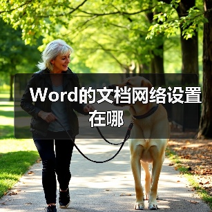 Word的文档网络设置在哪(图2) Word的文档网络设置在哪(图2)