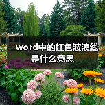 word中的红色波浪线是什么意思（图2）