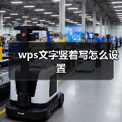 wps文字竖着写怎么设置（图2）