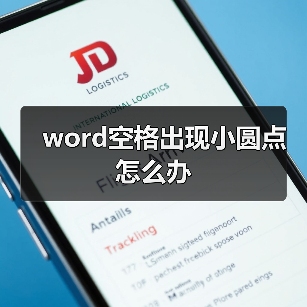 word空格出现小圆点怎么办（图2）