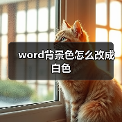 word背景色怎么改成白色（图2）