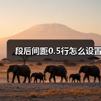 段后间距0.5行怎么设置（图4）