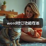 Word修订功能使用方法详解