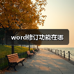 word修订功能在哪（图4）