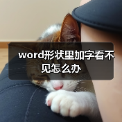 Word文字被覆盖如何解决_形状覆盖隐藏文字修复方法