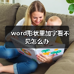 word形状里加字看不见怎么办（图2）