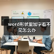word形状里加字看不见怎么办（图4）