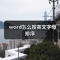 word怎么按英文字母排序（图2）