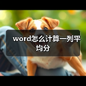 Word表格平均分计算方法详解