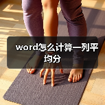 word怎么计算一列平均分（图3）