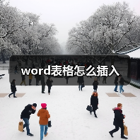 Word表格插入方法及详细操作步骤