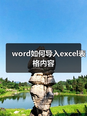 word如何导入excel表格内容（图2）