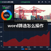 Word表格筛选操作步骤详解：Excel插入方法指南
