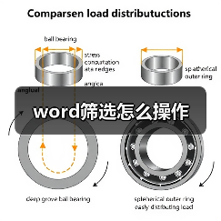 word筛选怎么操作（图3）