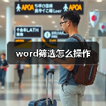 word筛选怎么操作（图2）