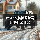 word文档插照片看不见是什么情况（图2）