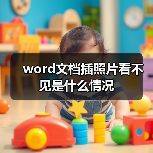 word文档插照片看不见是什么情况（图4）