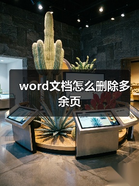Word删除多余页的两种高效方法详解