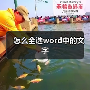 怎么全选word中的文字(图4) 怎么全选word中的文字(图4)