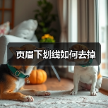 页眉下划线如何去掉(图3) 页眉下划线如何去掉(图3)