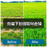 页眉下划线如何去掉(图2) 页眉下划线如何去掉(图2)