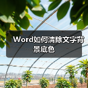 Word清除文字背景底色方法大全