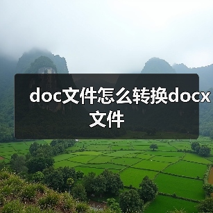 doc转docx方法：Word另存为操作指南